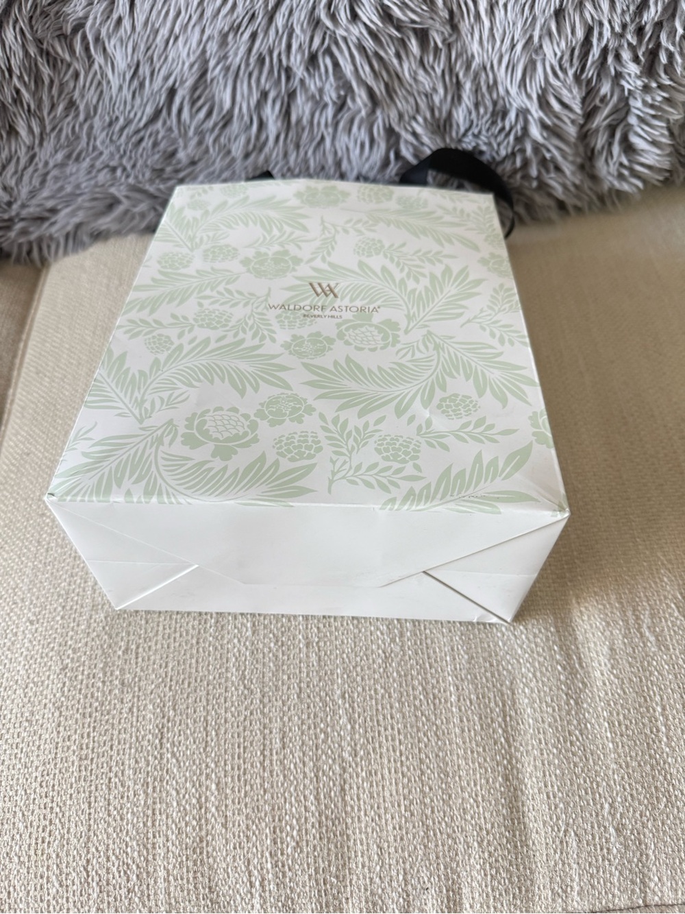 Waldorf Astoria Decorative Gift Bag in Pale Green and White